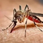 দাম্মাম বিমানবন্দরে হামলায় আহত দুই বাংলাদেশির পরিচয় মিলেছে