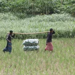 গ্রামকে মূলধারায় যুক্ত না করলে উন্নয়ন টেকসই হবে না