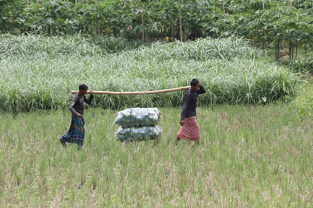 গ্রামকে মূলধারায় যুক্ত না করলে উন্নয়ন টেকসই হবে না