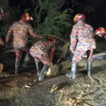 ঢাকা-চট্টগ্রাম মহাসড়কে গাছ উপড়ে সাময়িক যান চলাচল বন্ধ