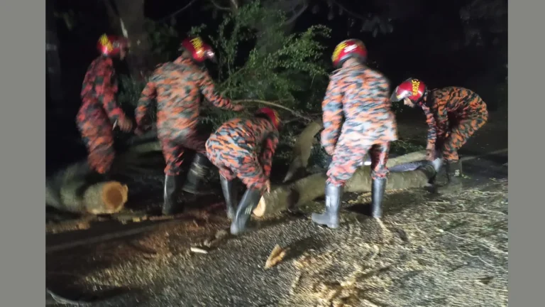 ঢাকা-চট্টগ্রাম মহাসড়কে গাছ উপড়ে সাময়িক যান চলাচল বন্ধ